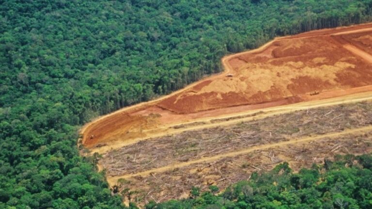 ब्राजील ने जलवायु योजना में बदलाव