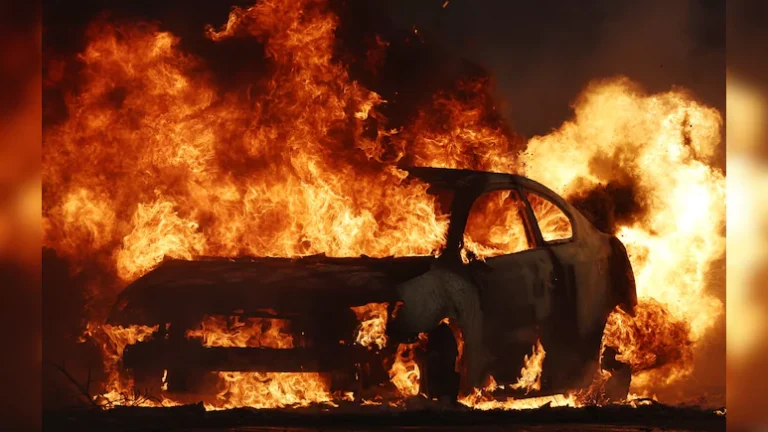 अमेरिका के पश्चिमी हिस्से, खासकर कैलिफोर्निया में, जंगल की आग रोकने के लंबे प्रयास उल्टे पड़ गए हैं, जहां ईंधन जमा होने से 74% क्षेत्रों में प्राकृतिक आग की कमी हो गई।