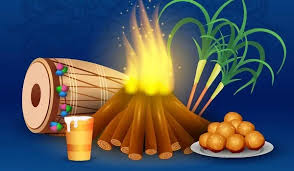 देशभर में लोहड़ी की धूम: अग्नि पूजन के साथ नई फसल का स्वागत