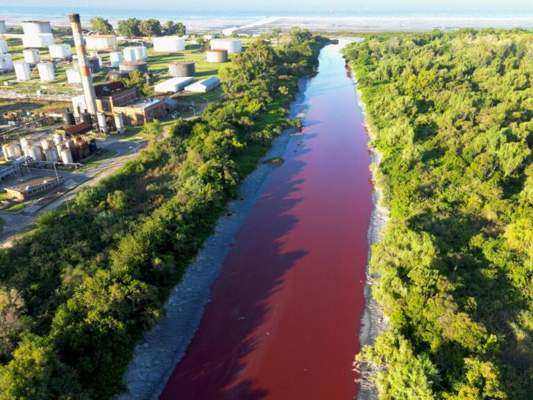 अर्जेंटीना की ‘खूनी नदी’: लाल पानी देखकर दहशत में आए लोग