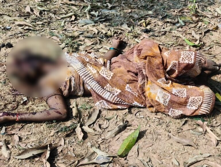 डोंगरगढ़ के अछोली में आम बगीचे में अज्ञात महिला की क्रूर हत्या: सिर पर पत्थर से कुचलकर की मौत, पुलिस ने शुरू की जांच