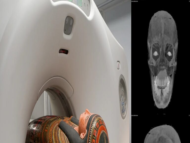 2000 साल पुरानी ममियों का CT स्कैन: वैज्ञानिकों के उड़े होश