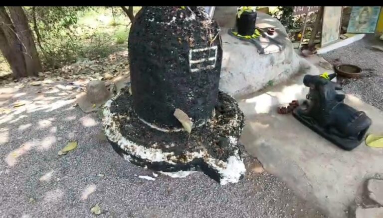 BSP की बड़ी कार्रवाई: सेक्टर-2 में सार्वजनिक भूमि से हटाया गया अवैध निर्माण, शिव-नंदी की प्रतिमाएं सुरक्षित स्थान पर स्थानांतरित।